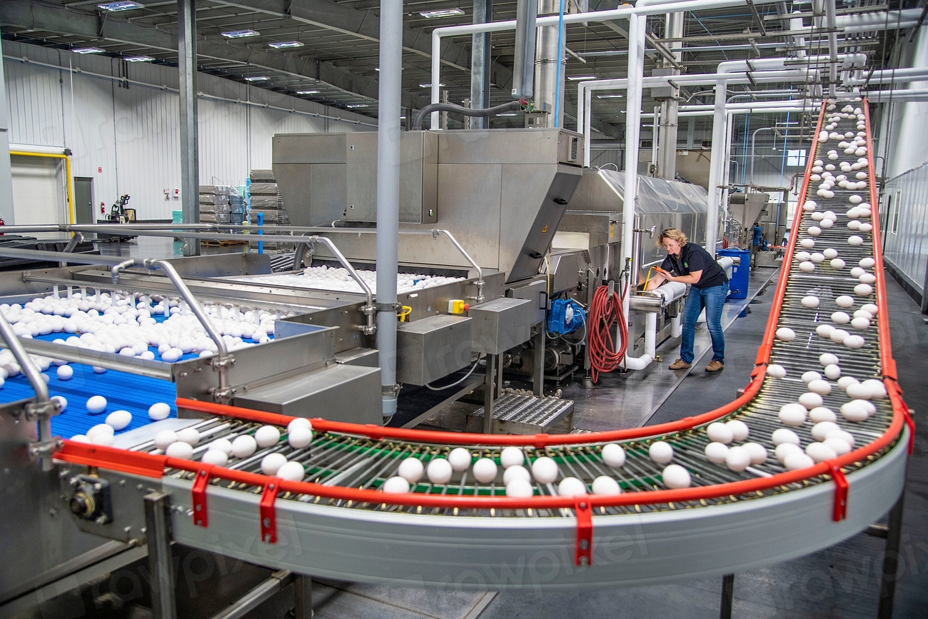 AI defect detection system inspecting products on a manufacturing production line