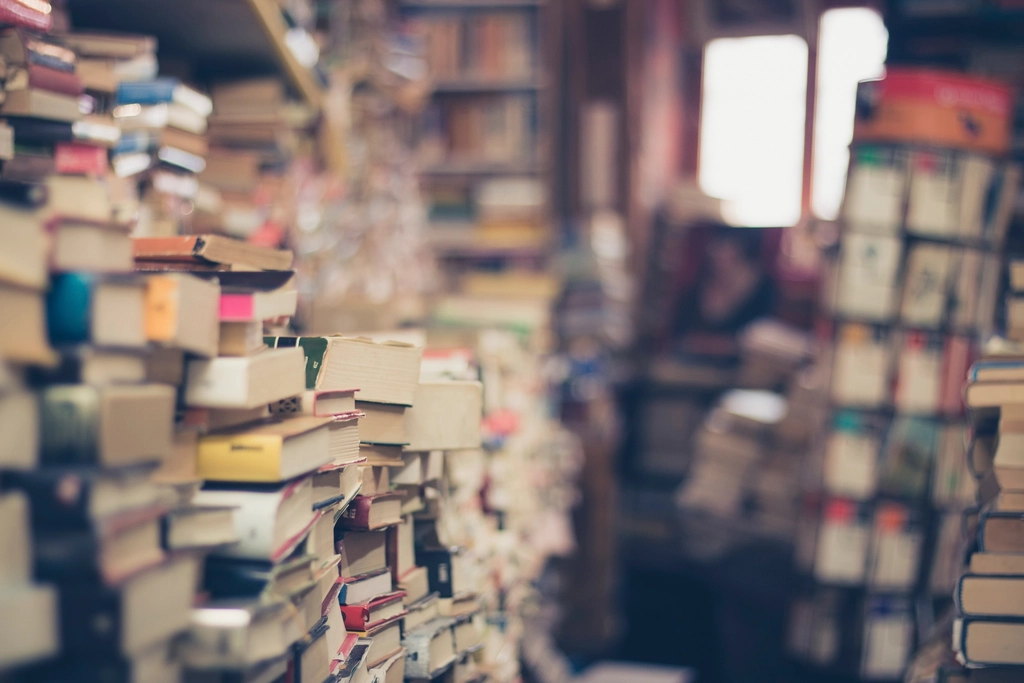 Stacks of used books in a secondhand bookstore, the kind now being bought in bulk as books for AI training
