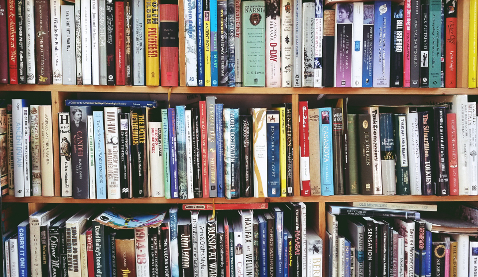 Shelves of novels - can an AI detector prove a book was written by AI